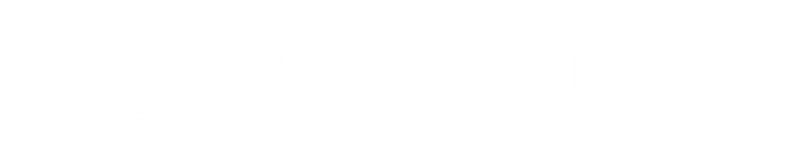Middle East Report