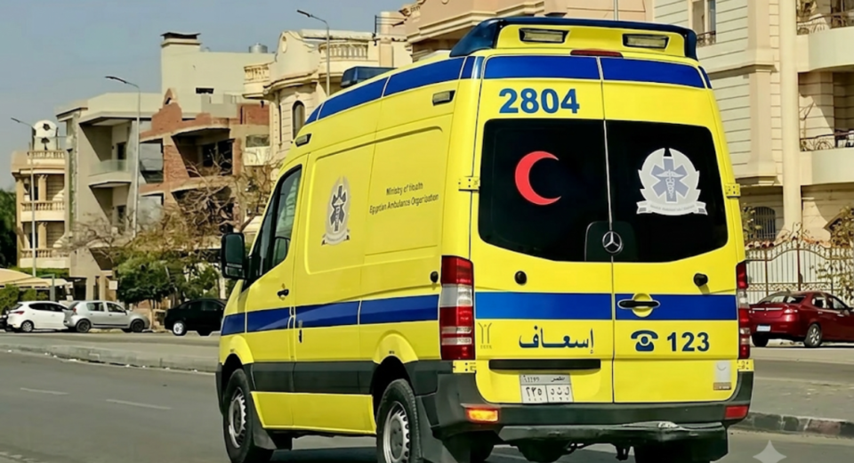 Toxic Fumes at Southern Egypt Processing Facility Claim Two Lives and Hospitalize Six